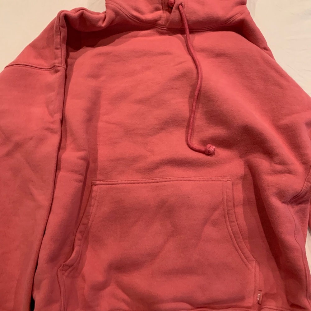 ARITZIA TNA HOODIE